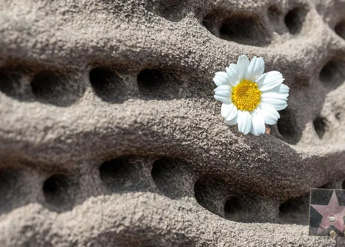 Lucia Mit Meerblick Und Pool In By Interhome Hébergement de vacances Santo Tomás